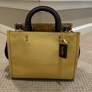 EC Rogue 25 Hay Colorblock